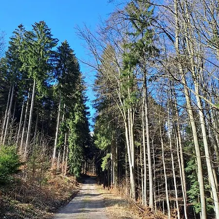 シャレー Chata Stity *